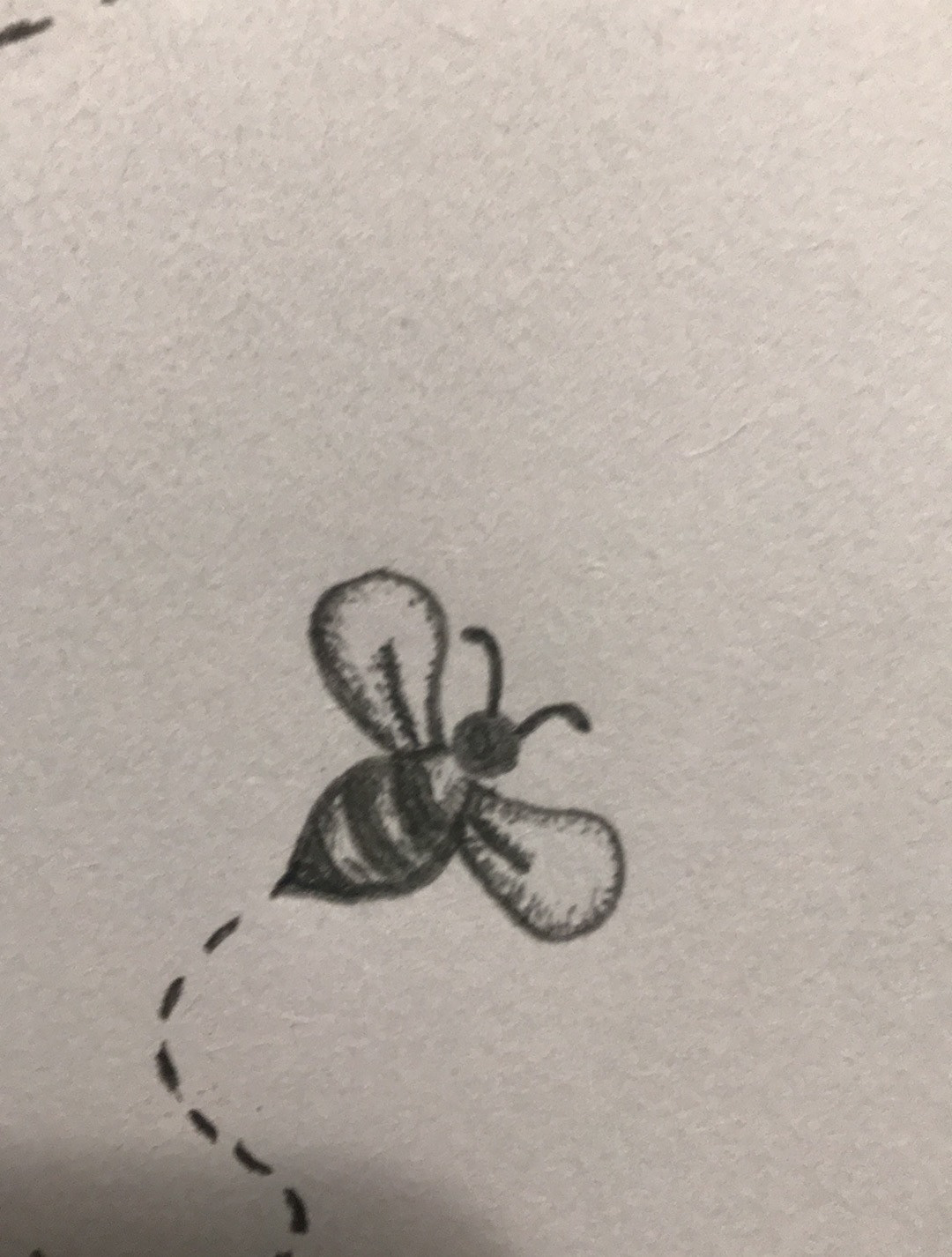 sketching logo Drawing  pencils Victorian bee beehive