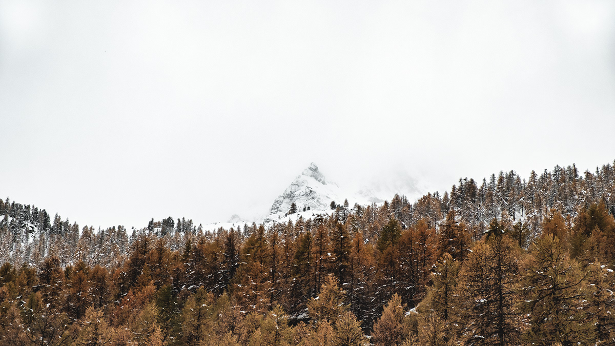 autumn Landscape winter mountain hiking RoadTrip snow forest alps france