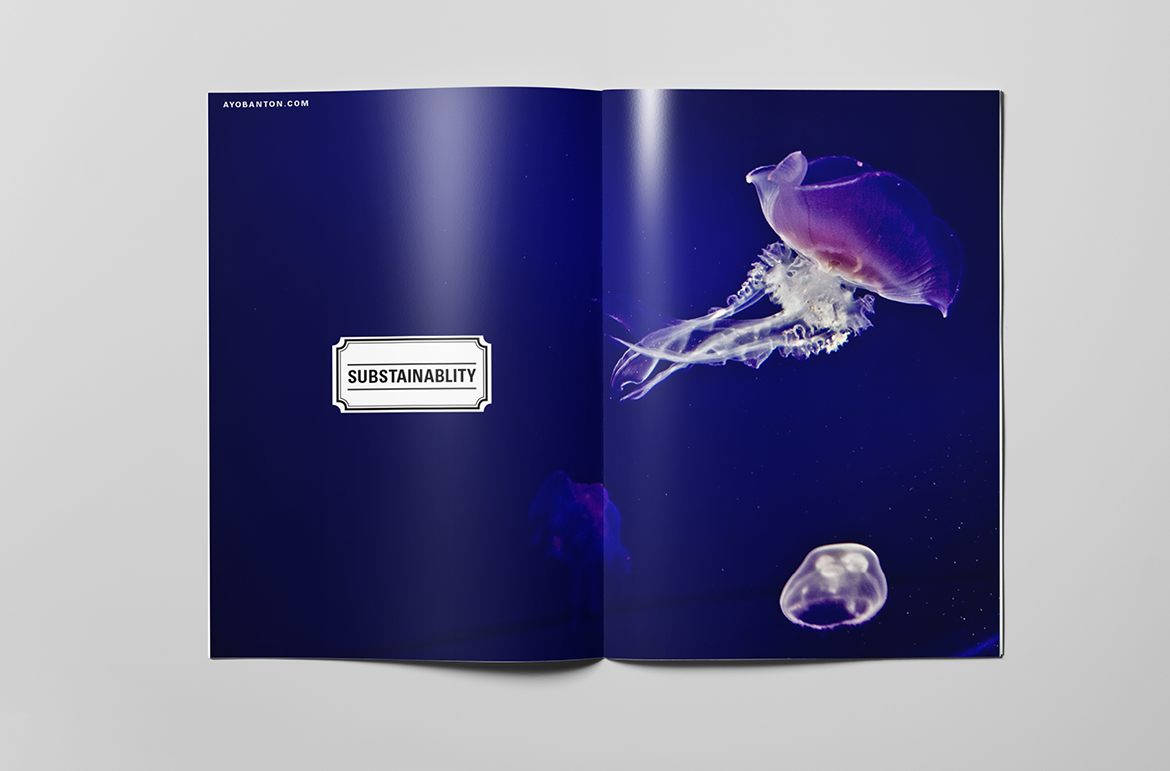 branding  print magazine flyer Booklet graphic design  Photography  retouching 