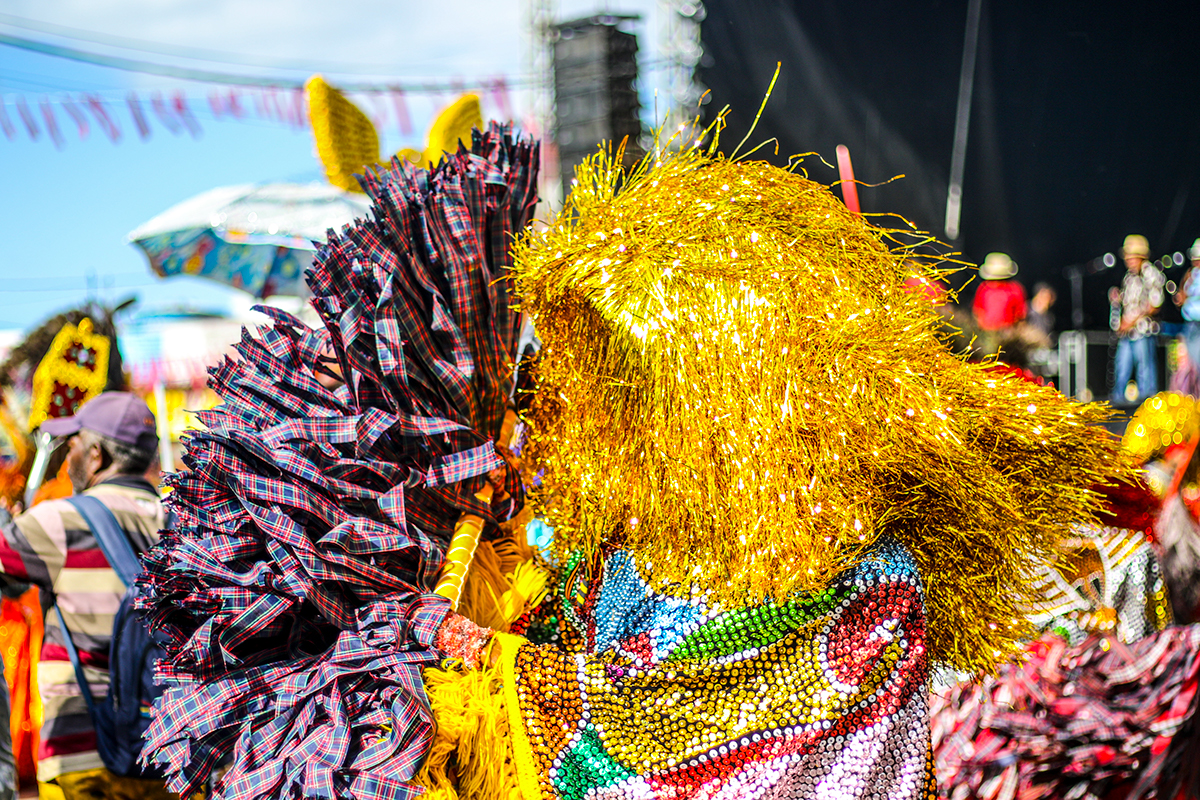 Carnaval pernambuco Caboclo de Lança caboclo maracatu maracatu rural nazaré da mata festa cultura cultura brasileira