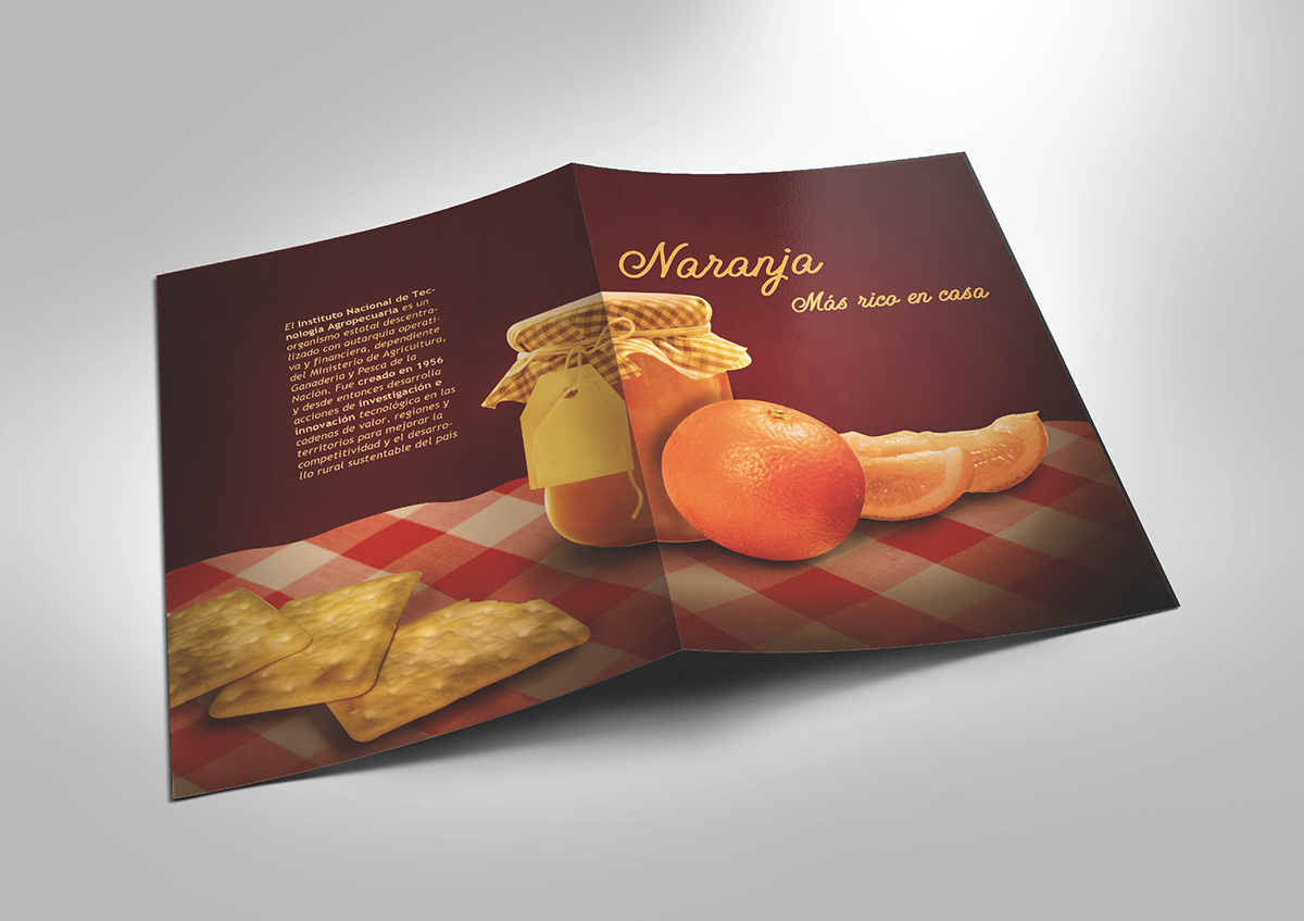 folleto brochure frutas fruits
