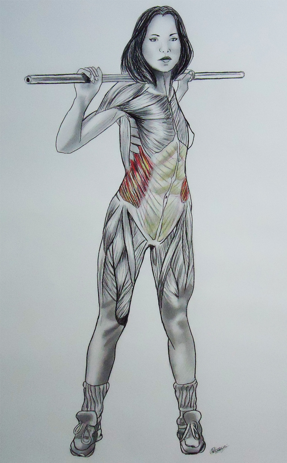 anatomia desenho anatomico musculos academia