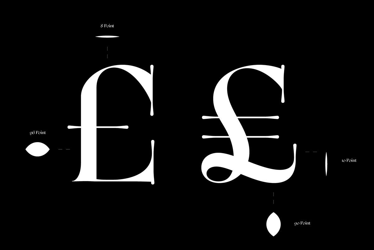 lettering type design Typeface font glyphs italic serif