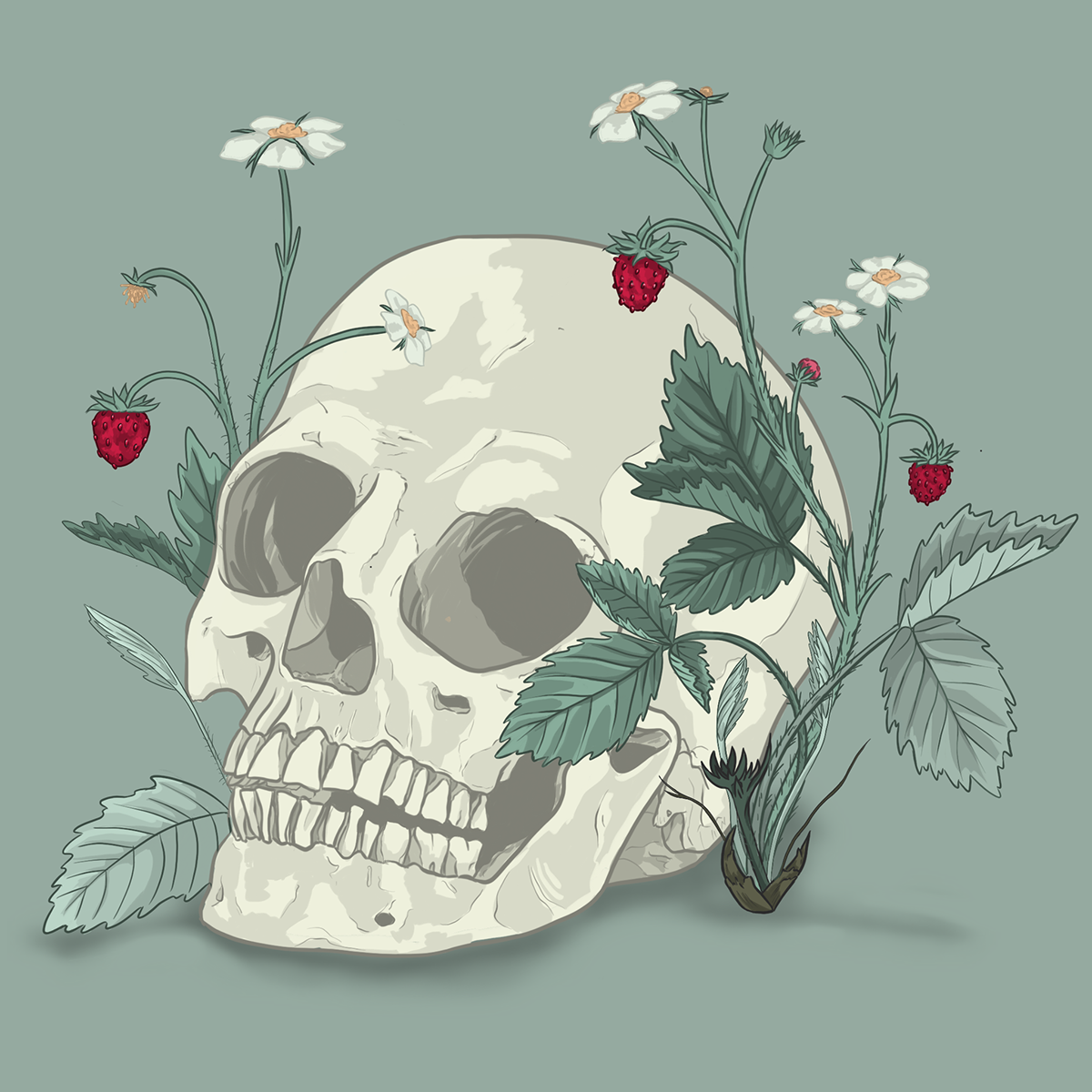 skull wildberrys wildstrawberries strawberry flower totenkopf walderdbeeren