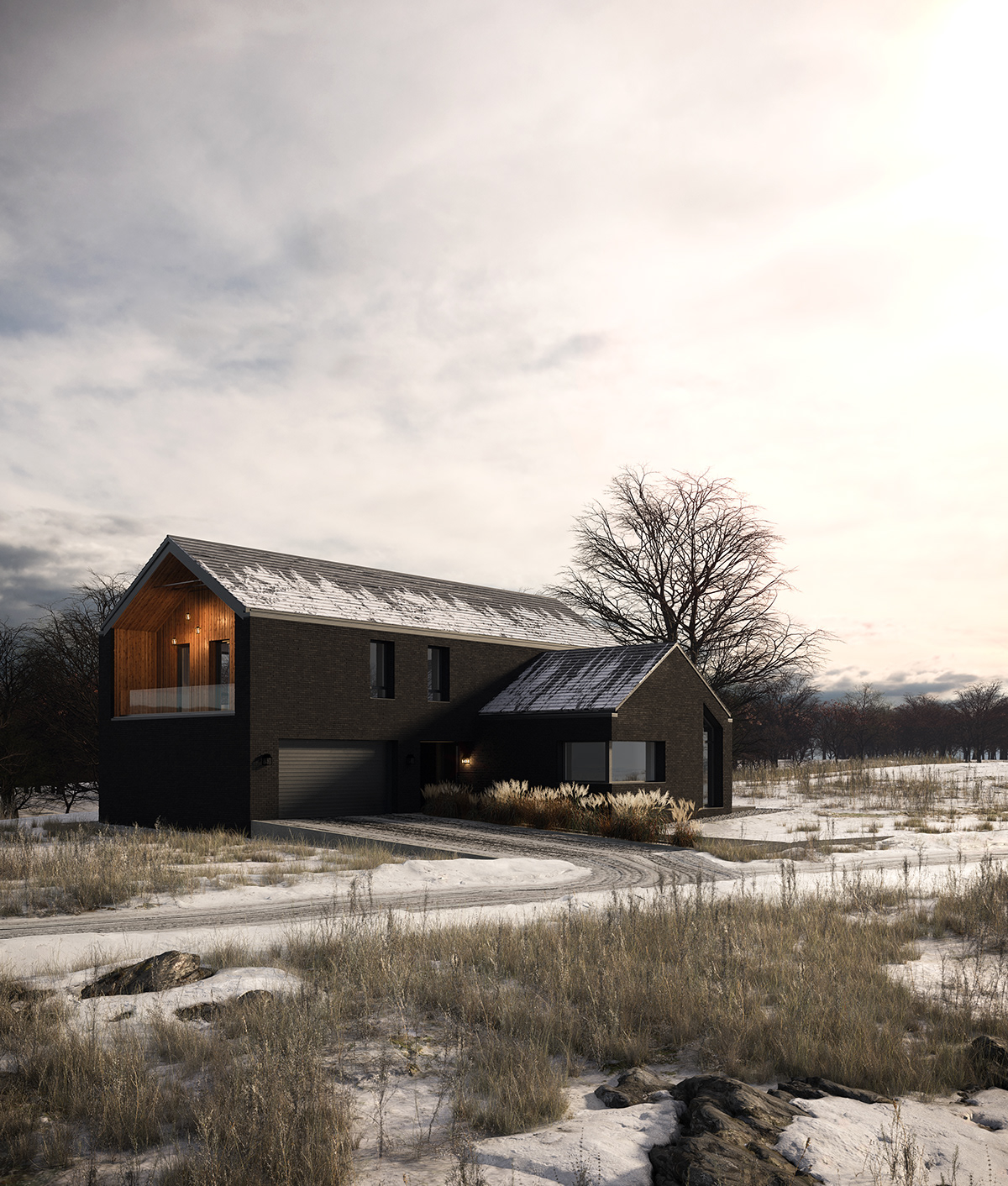 3D architecture archviz exterior house Render snow visualization vray winter