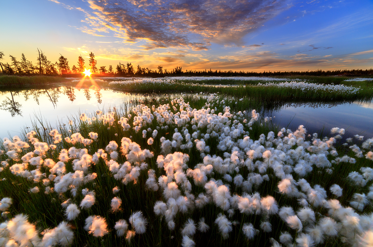 Nature photo Landscape landscapes SKY cloud clouds sunset photograph Canon Sun пейзаж Россия Russia art