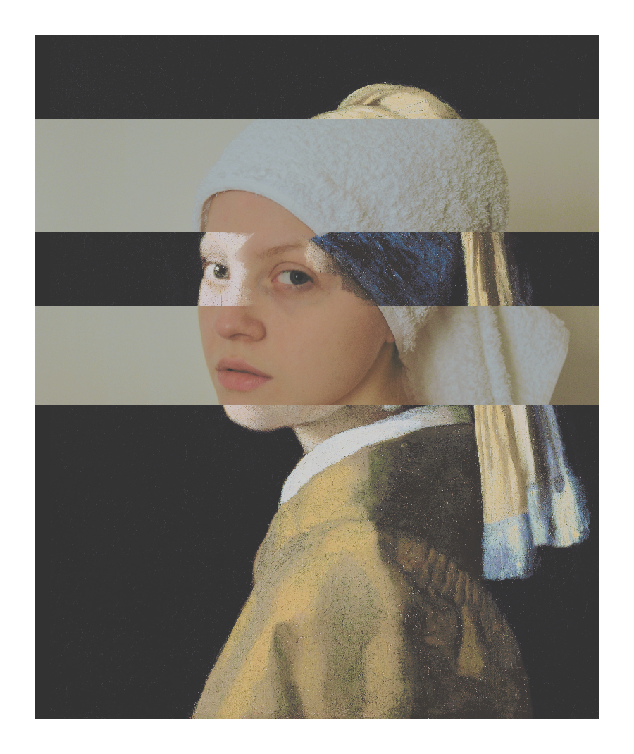 Photography  graphic venus art canvas portrait girl with a pearl earring photo van gogh