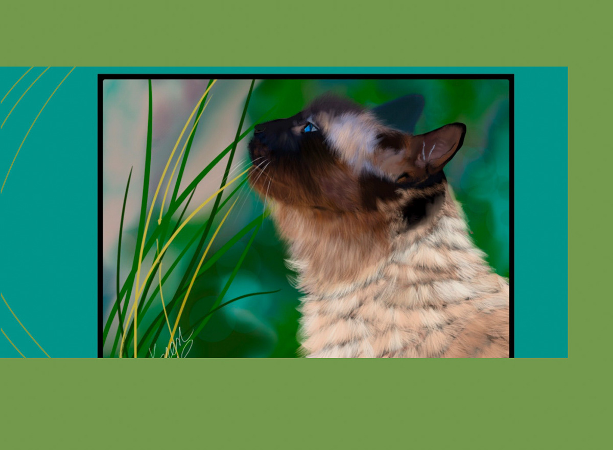 Digital Art  digital painting Drawing  illustrations animals Cat feline siamese