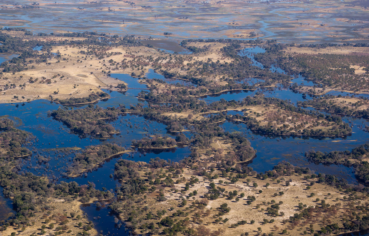 Okavango Delta africa Botswana okaroo wildlife Nature Aerial mack air