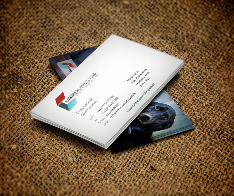 Logo Design Web designer dog consultant Business Cards