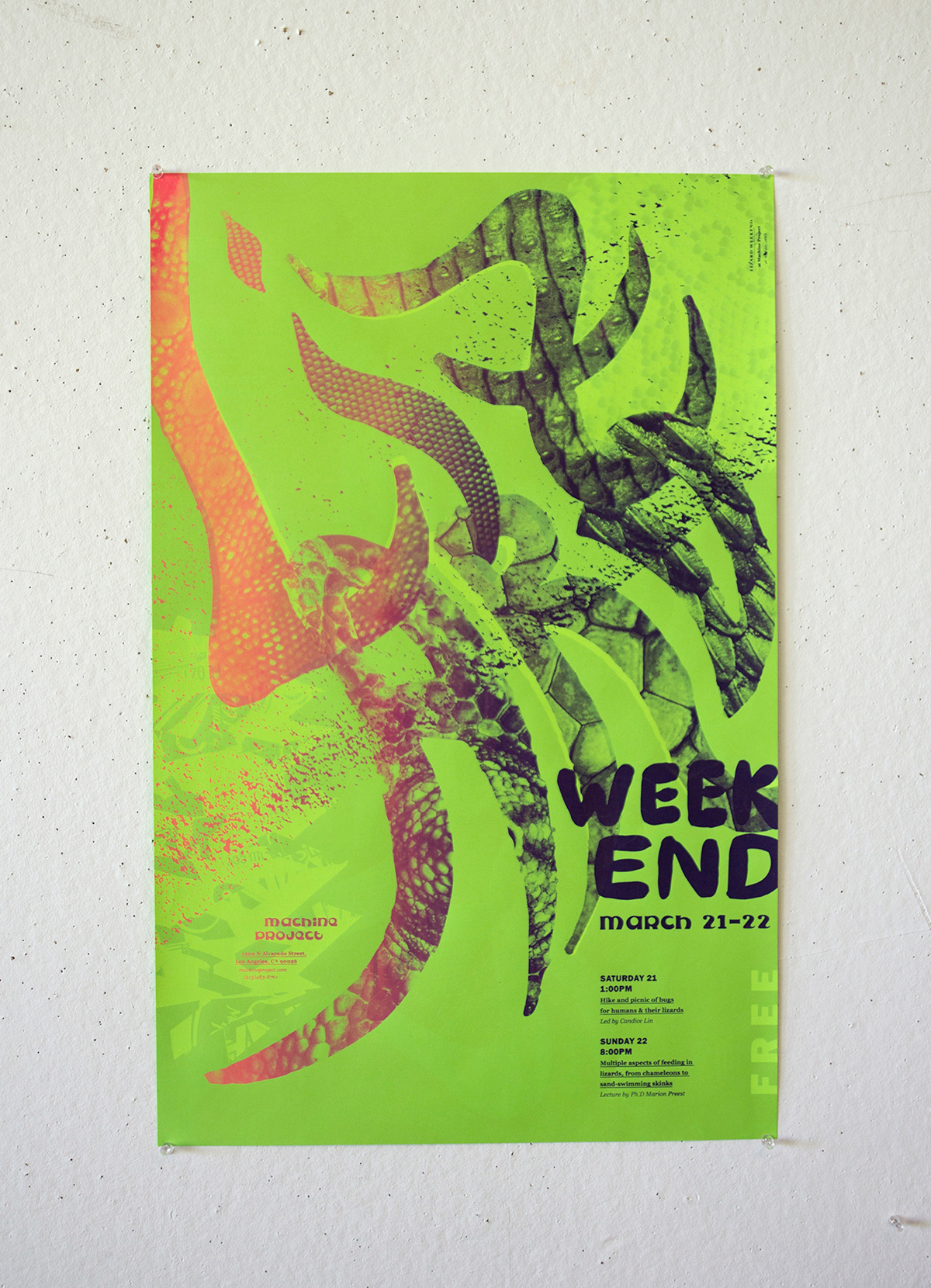 posters poster cartaz calarts Exhibition  lettering type tipografia experimental photo