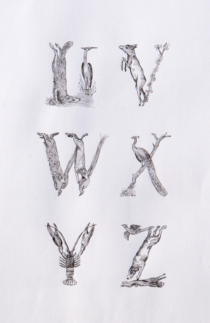 animal alphabet letters