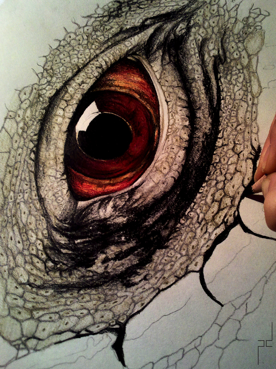 eye iguana grand caymon red reptile close up Nature color pencil