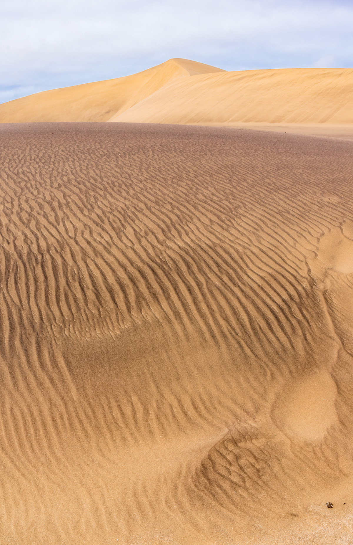Namibia africa desert swakopmund dunes sands yellow