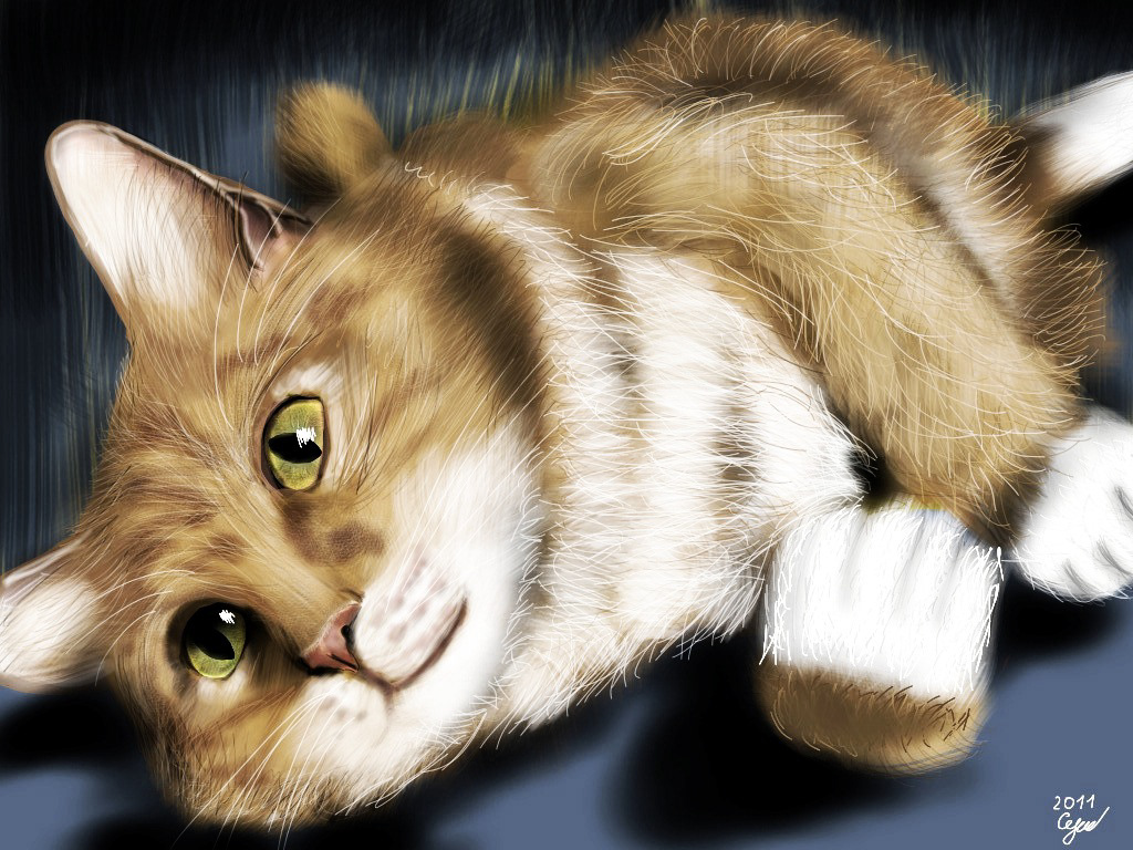 red Cat Drawing  Digital Art  ILLUSTRATION  artwork digital illustration Procreate painting   artist