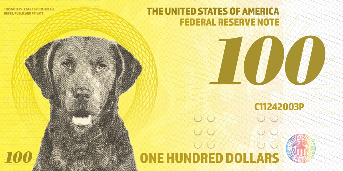 money currency dogs dog Money Redesign boston terrier malamute chesapeakebayretriever dollar