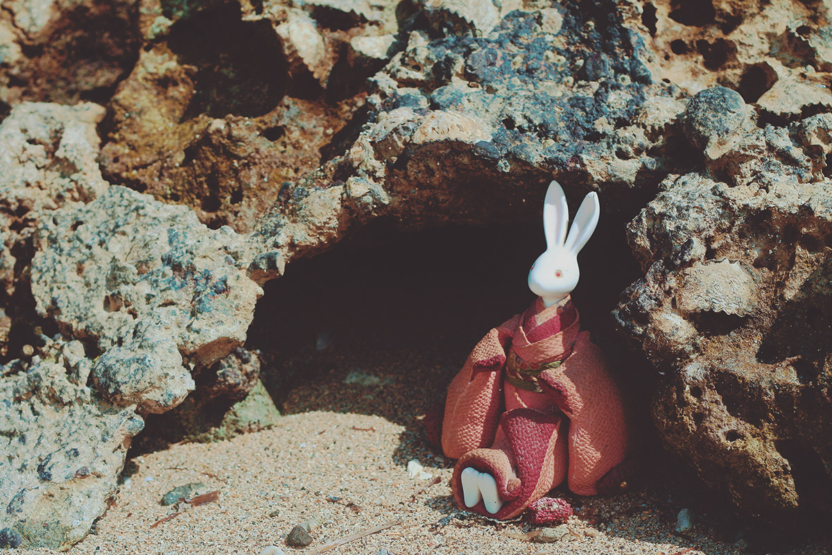 doll usagi japan rabbit world Nature vacation