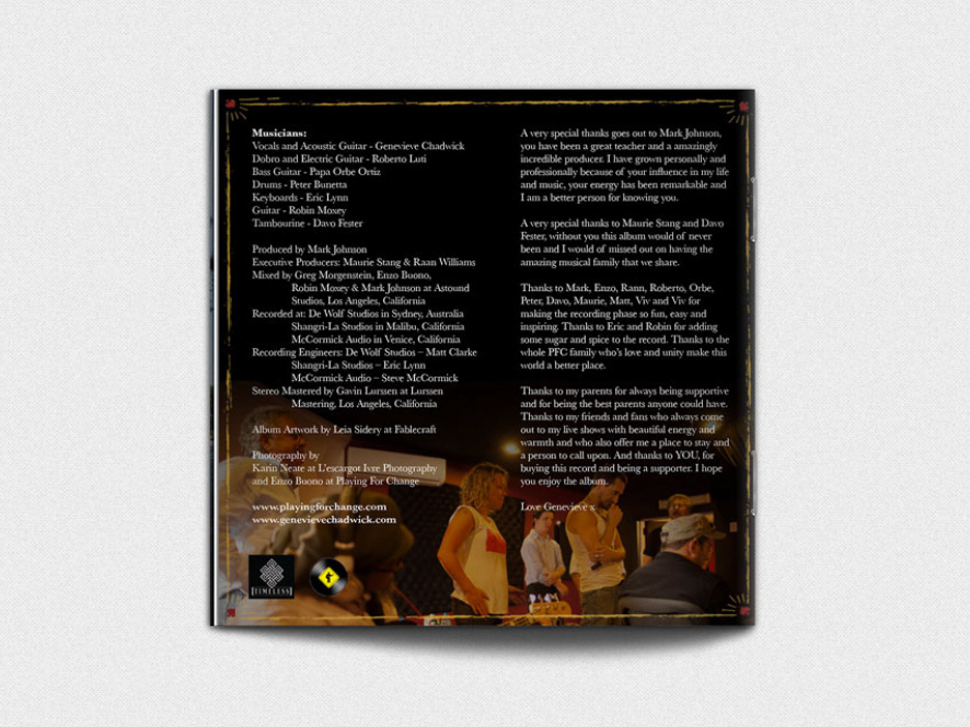 cd Album print Screen-print block colours vintage old school hand-made poster folk blues roots Booklet digipack
