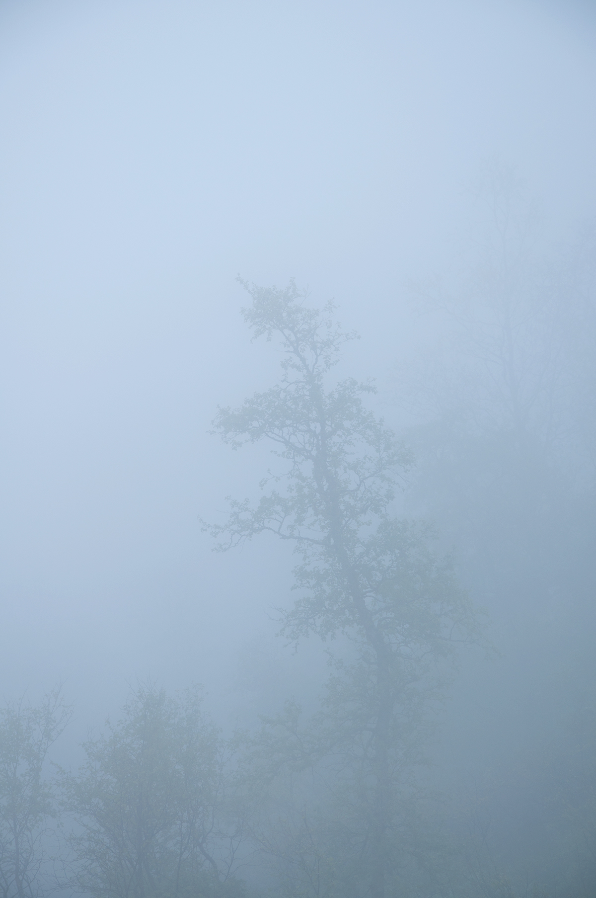 Nature fog mist modern architecture norway trollstigen mystery wonder dreams subconsciousness 