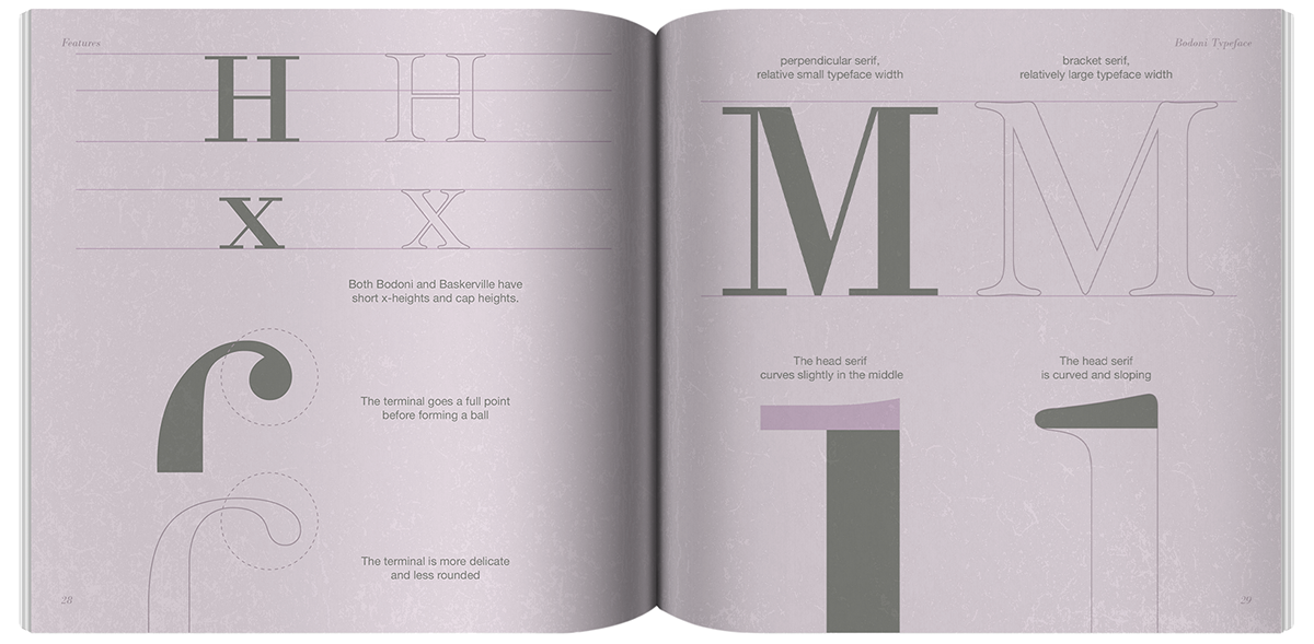 typography   Layout Design graphic design  type specimen book Graphic Designer bodoni brand identity branding  helvetica editorial