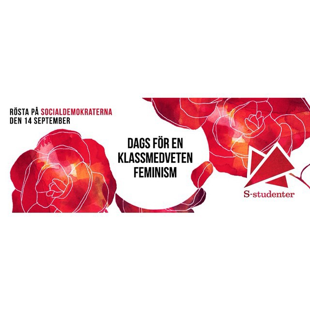 Students political Sweden Election Roses poster flyer Web Banner