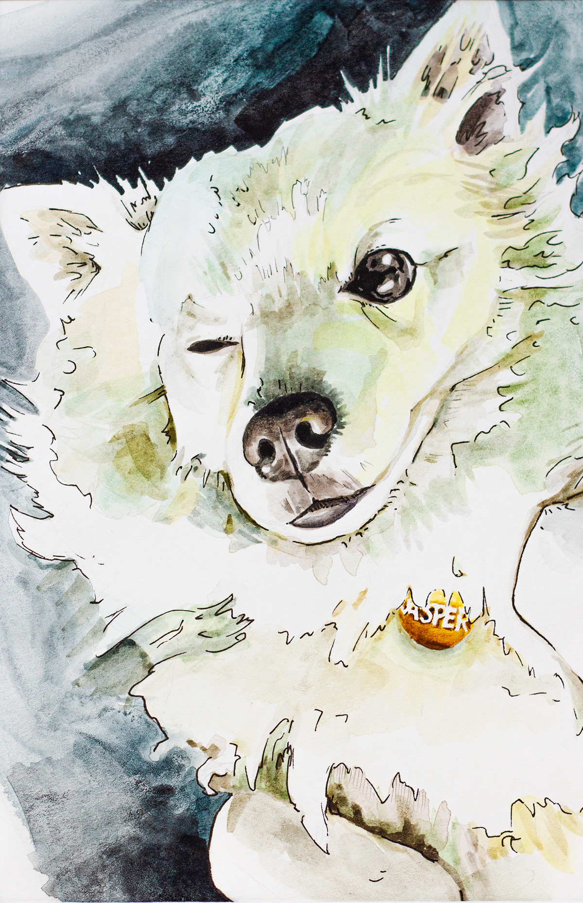 watercolor pets dogs cats commission