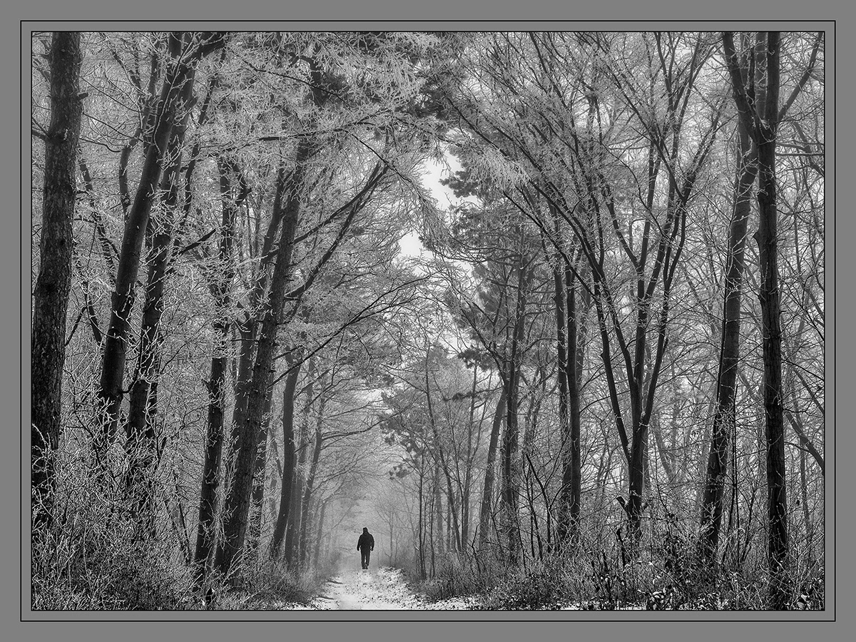 winter Poetry  Photography  Digital Art  snow poem season beauty Nature creation