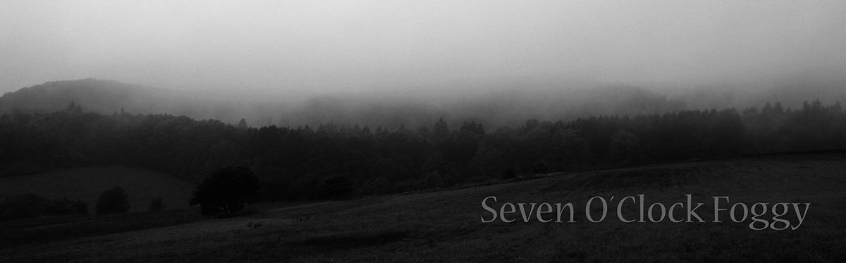 darkness fog nebel MORNING Nature black & white