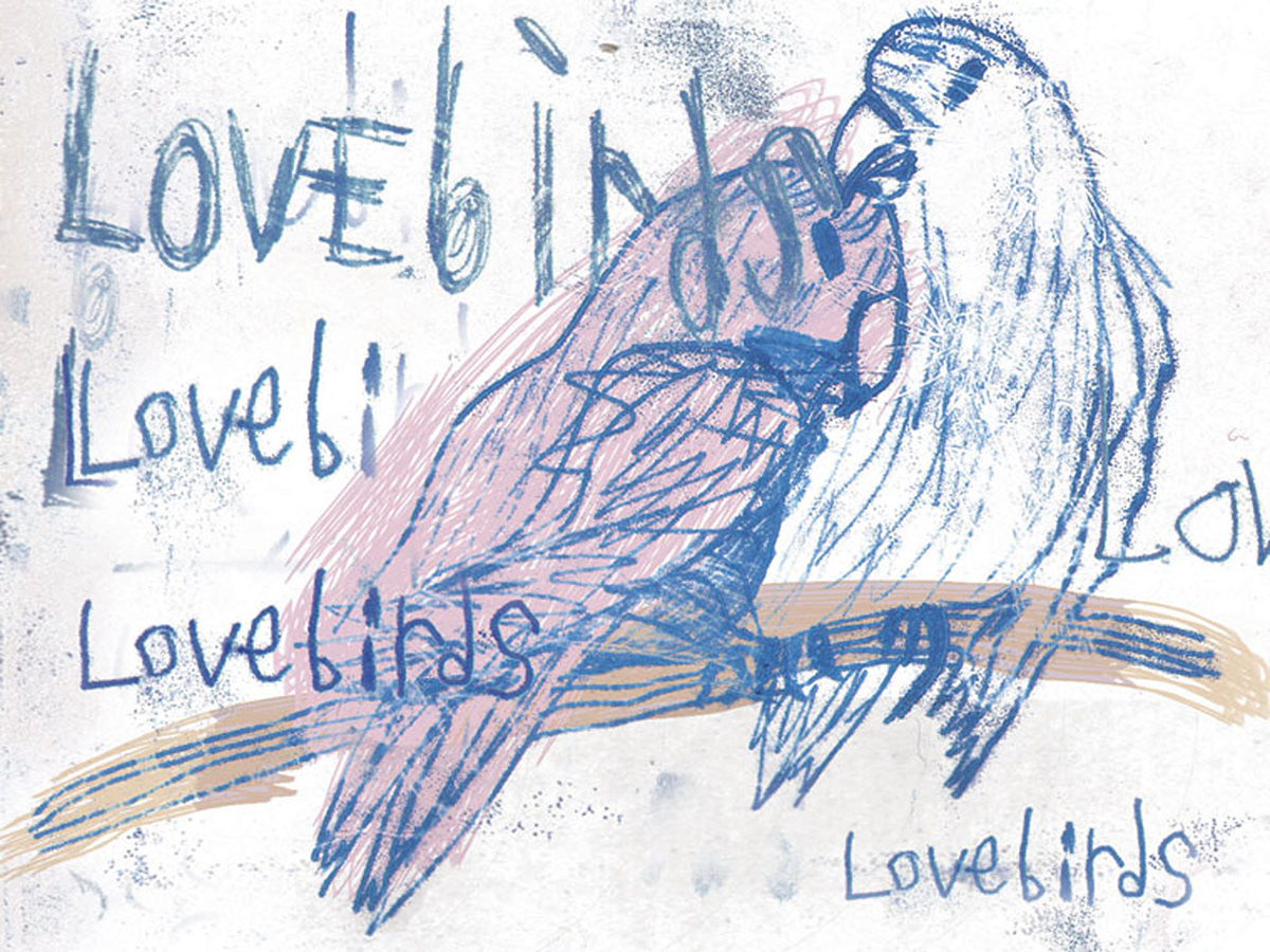 valentine  Monoprint  digital  greeting card  lovebird monoprint digital greeting card lovebird