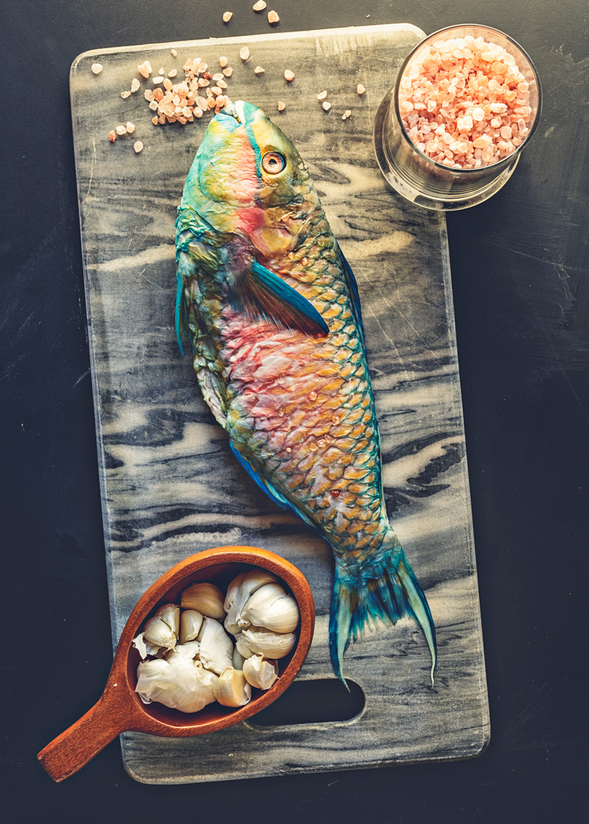 food and drink Photography  Studio Photography fish seafood creative restaurant assignment color photography conceptual