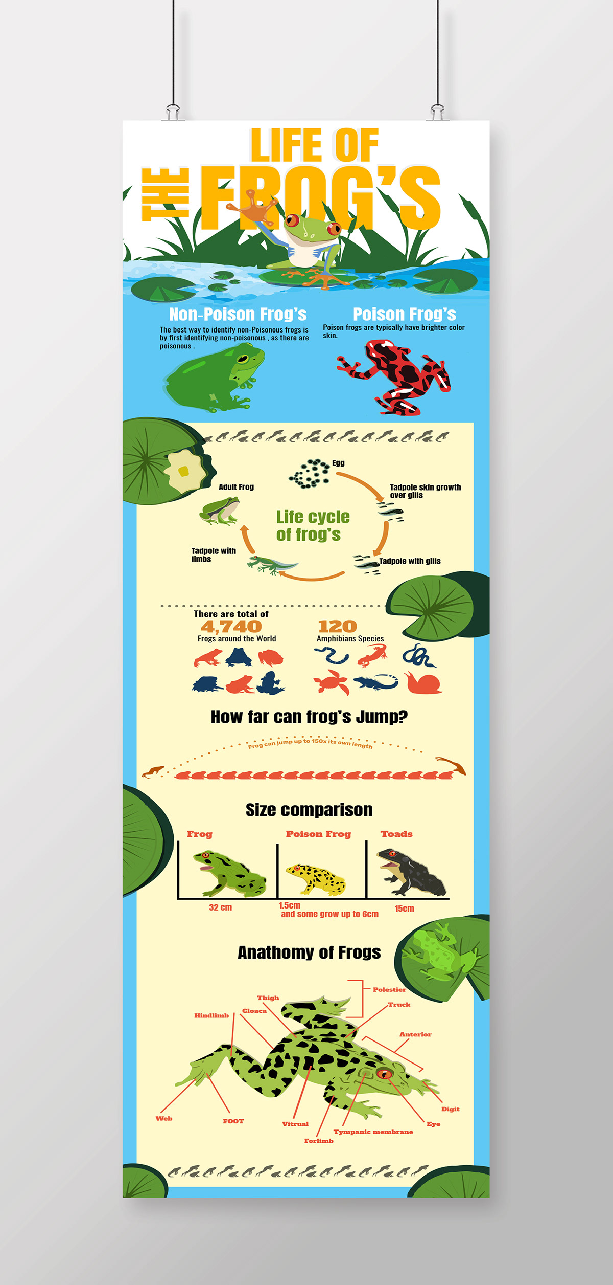 poster . Design . graphic elegant Food  infographic Korea nice organic simple