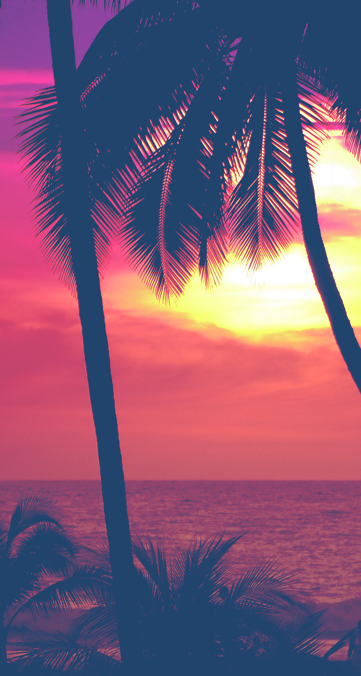 Palm Trees neon bright colorful gradient pink purple sunset Tropical paradise HAWAII
