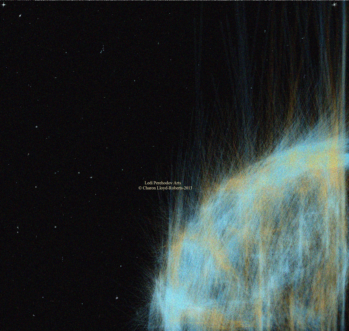 auroras Digital Art  digital painting floral Flowers petals Planets stars Asteroids orbs