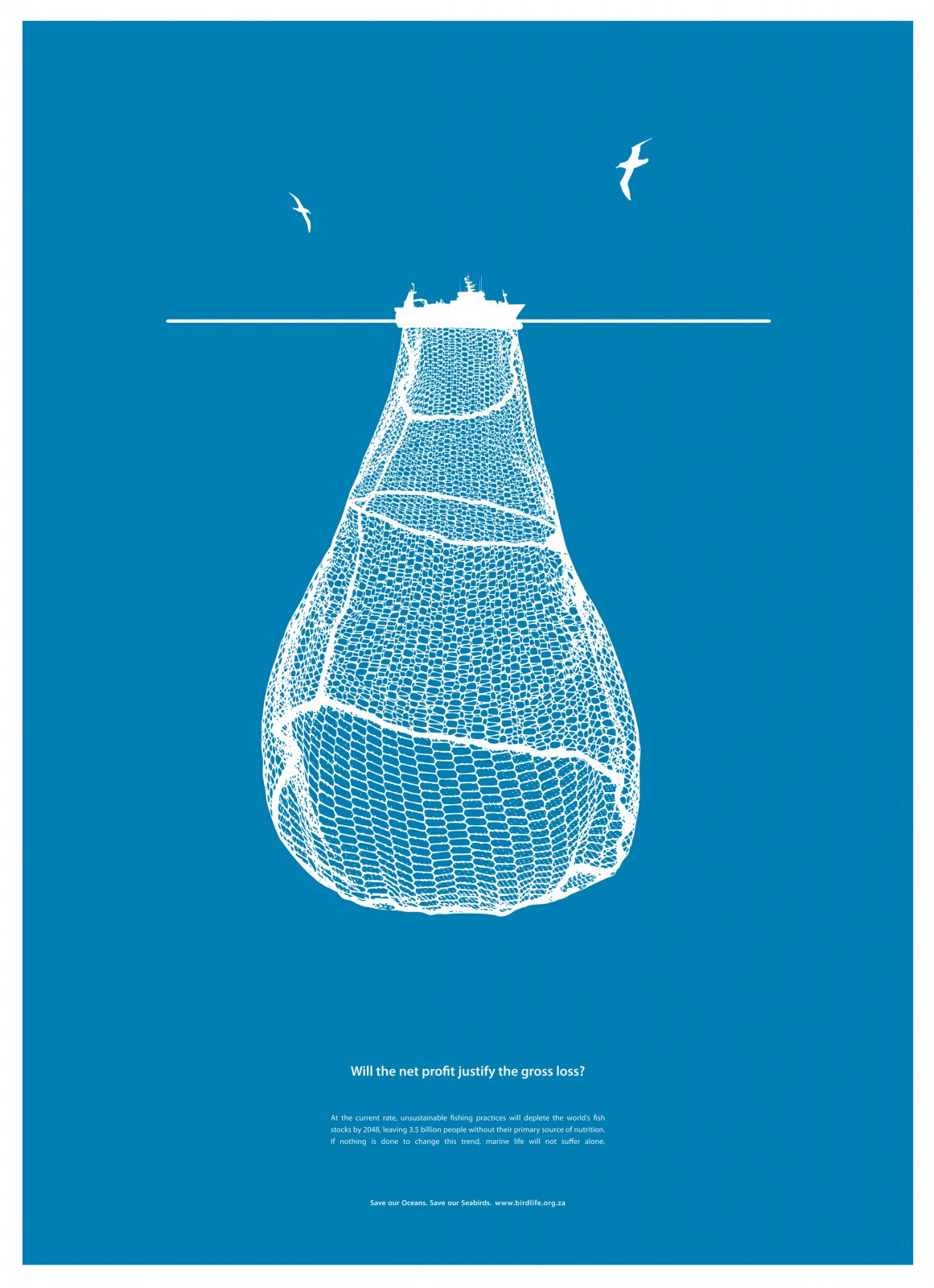 poster birds birdlife NGO south africa cape town simple clean blue Still craft contemporary Beautiful D&AD Awards