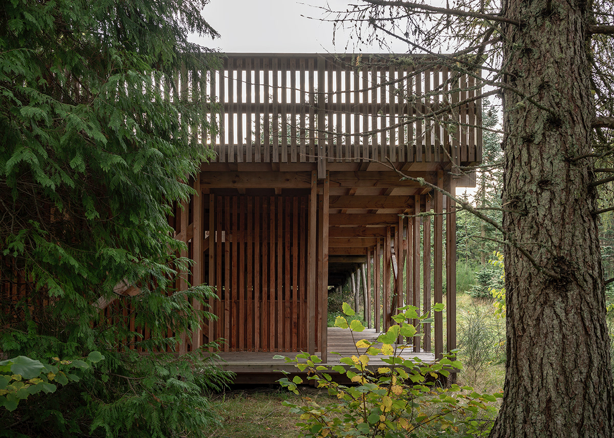 architects architecture indsigten minimal nordic norrøn nødebo school skovskolen wood