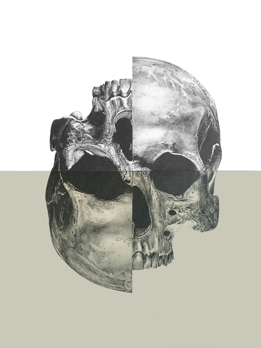 skull skulls ILLUSTRATION  Realism pencilartist Skull art graphitepencil blackandwhite art cool