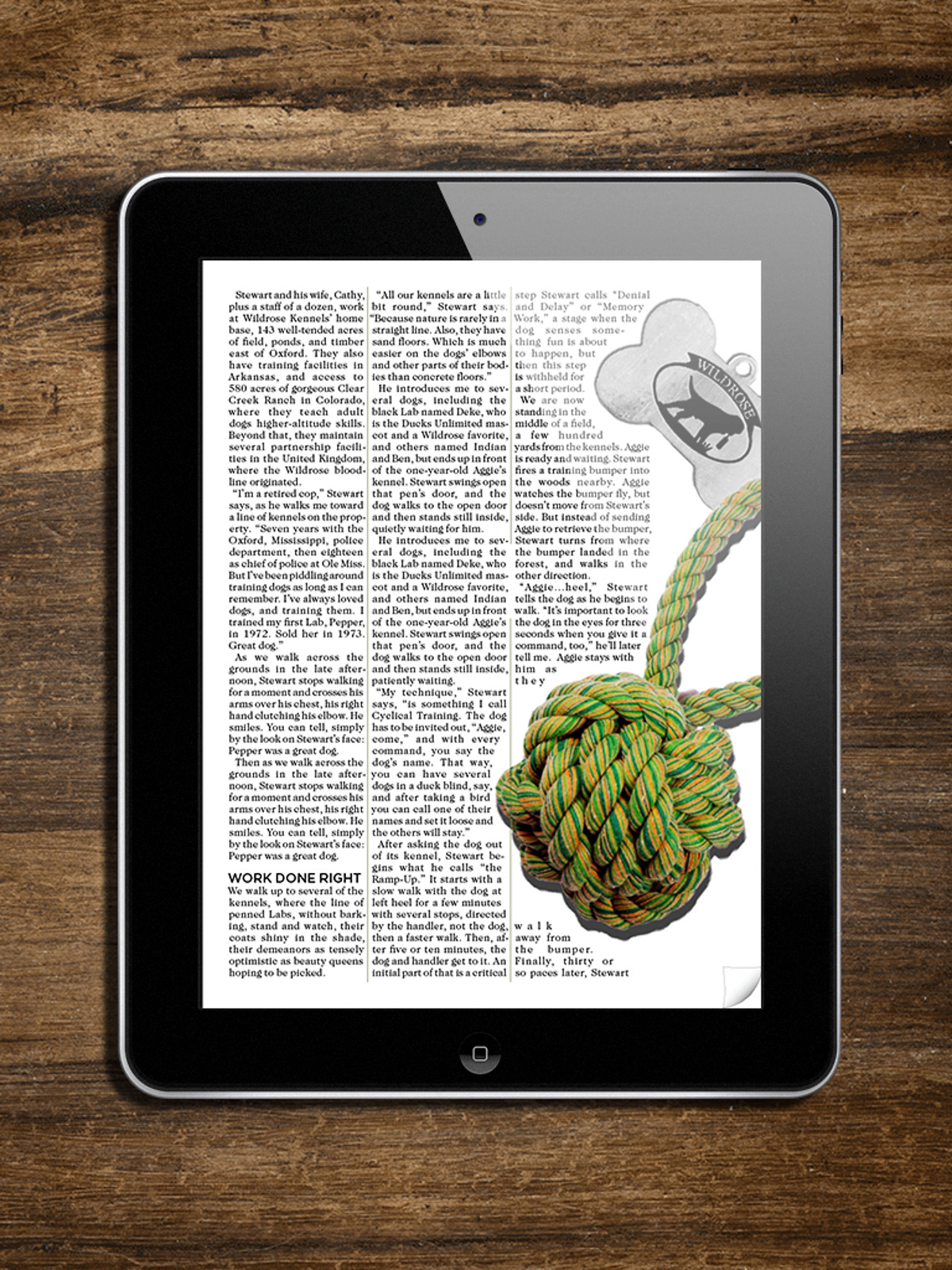 magazine iPad app editorial publication Interface Typographic Design