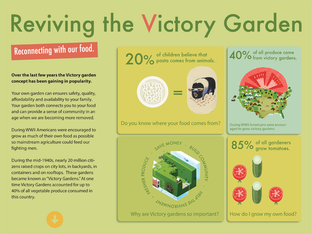 Victory  Garden  Environment  infographics  website  Interaction Design  ipad  tablet  recycle  FOOD  animals  gardening  farming  victory gardens  healthy