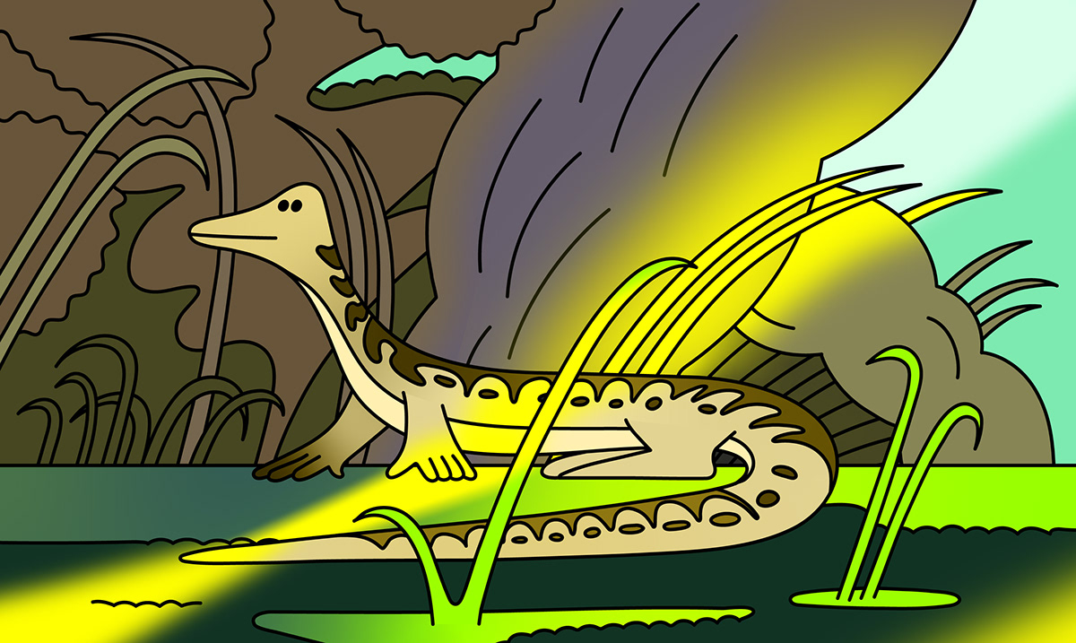 cartoon digital illustration sketch lizard animal wallpaper texture vector