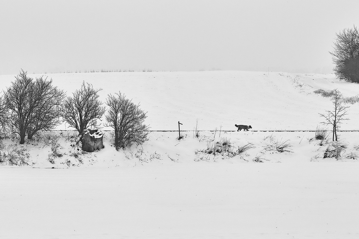 Landscape Nature winter snow bw black and white jörg marx