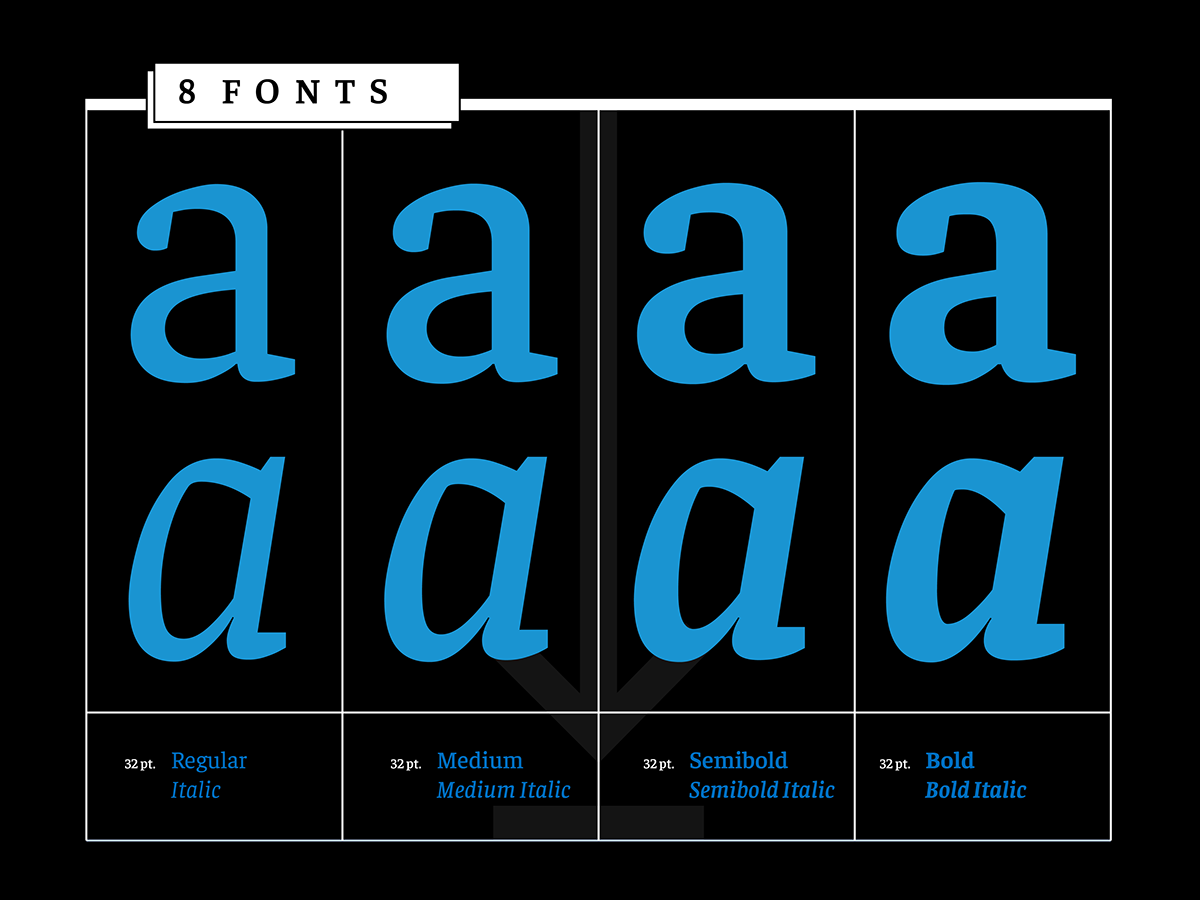type Typeface typography   tipografia font fuente Omnibus Type press series Faustina google fonts