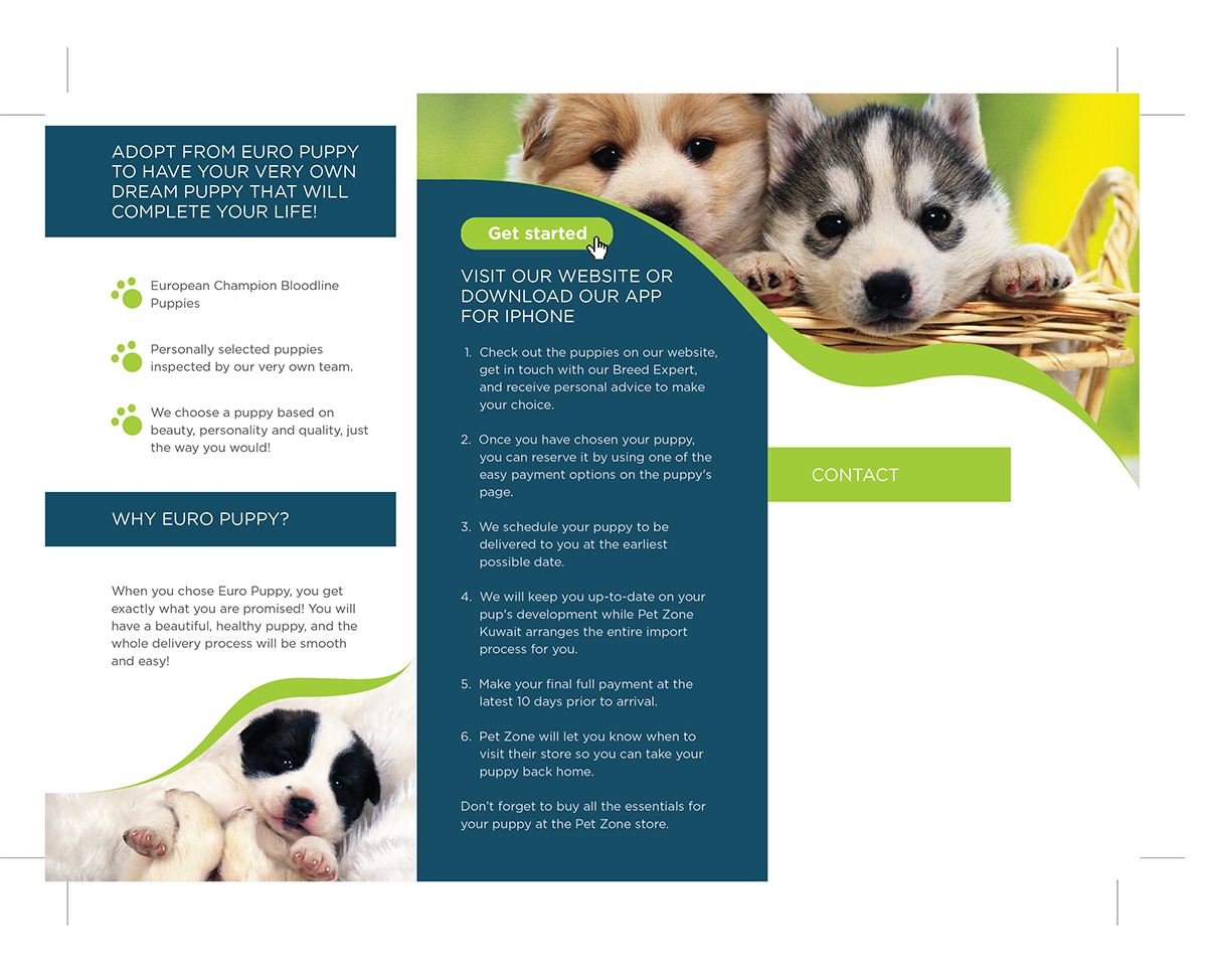 Adobe Portfolio brochure dog puppy Euro Puppy