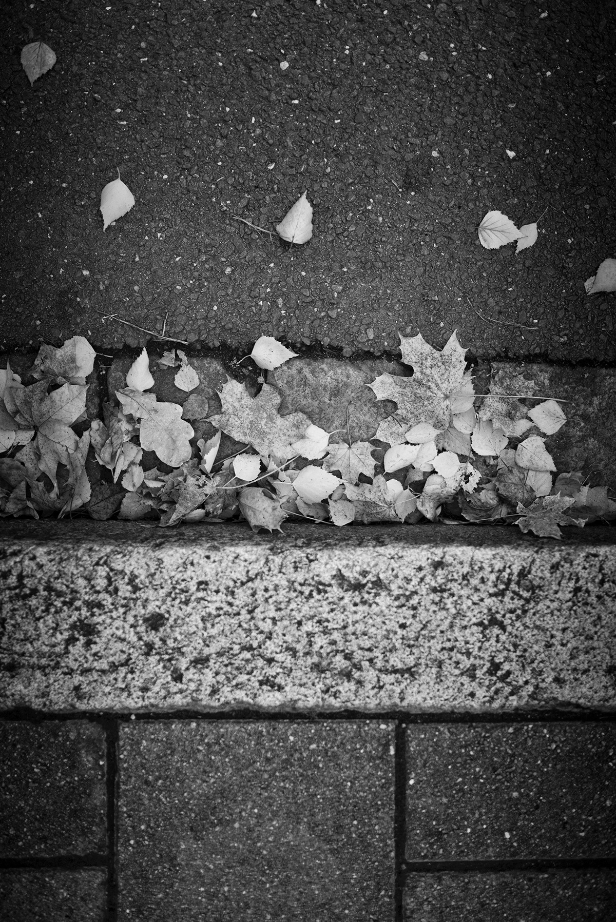 autumn black White sad melachonlic November blues erlangen germany city town streets empty