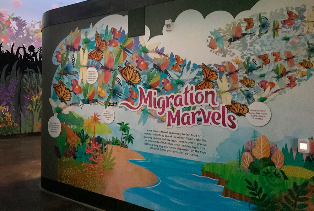 basecamp butterfly dragonfly EXPLORERS insect Insects migration Mural san diego zoo wildlife