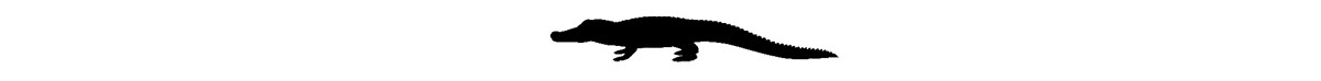 sculpture alligator paper Dior papier crocodile caiman