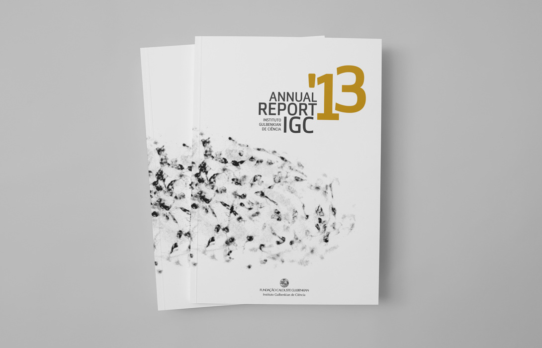 annual report design editorial Layout print