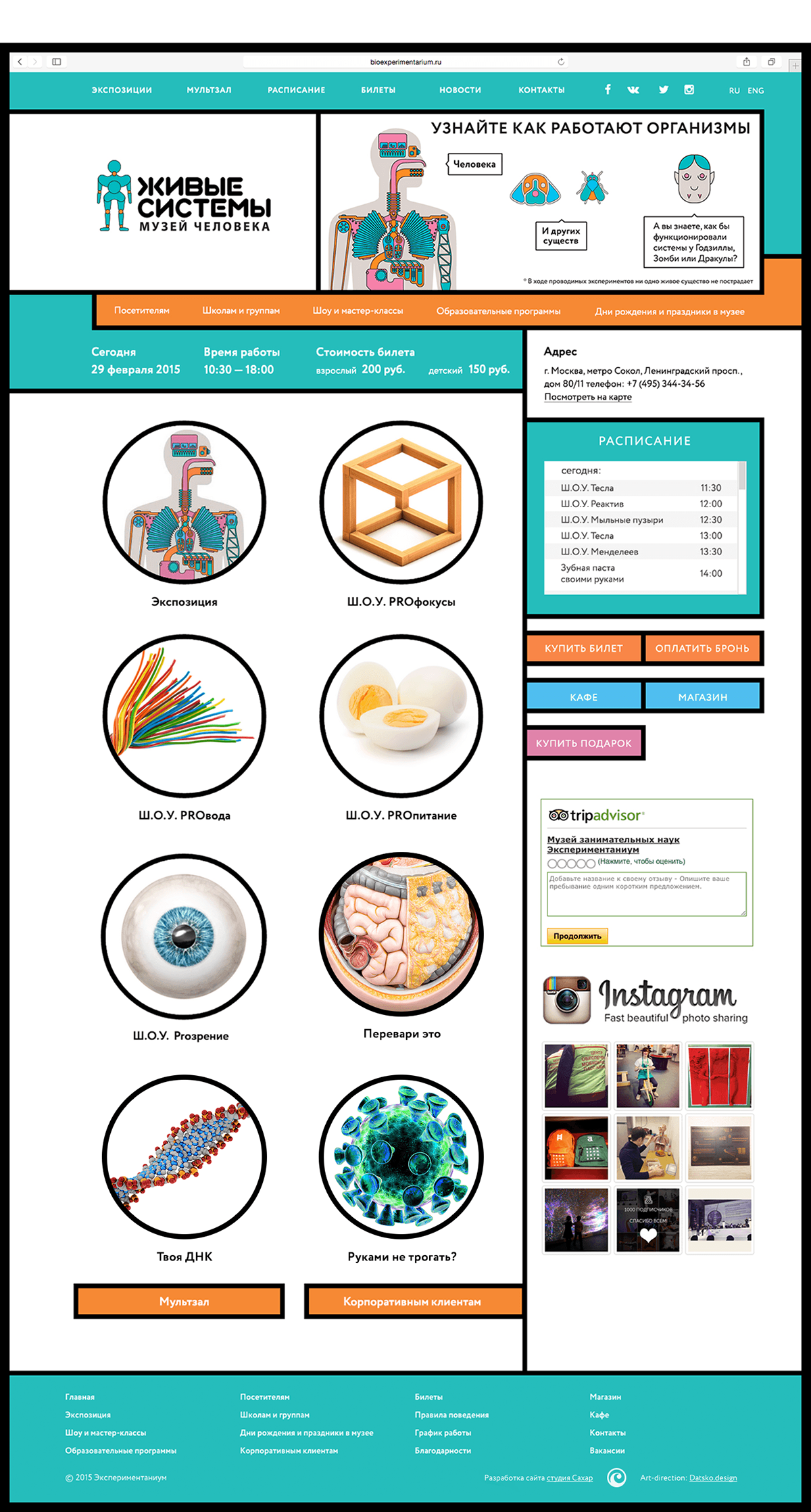 museum flat modern Web Adaptive biology science site digital interactive color man