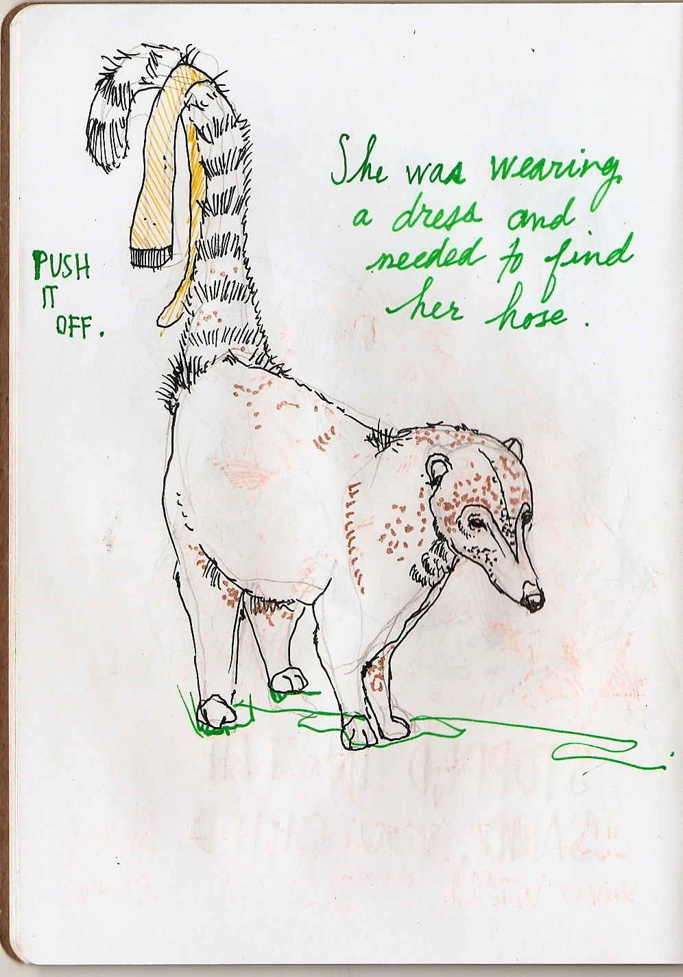 sketchbook animals colors text