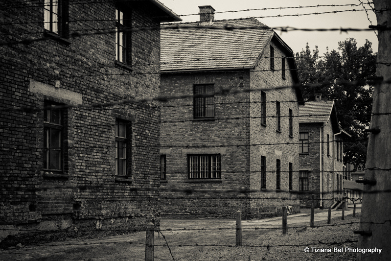 auschwitz birkenau Nazism CAMPO CONCENTRAMENTO Polonia Hitler Concentration Camp