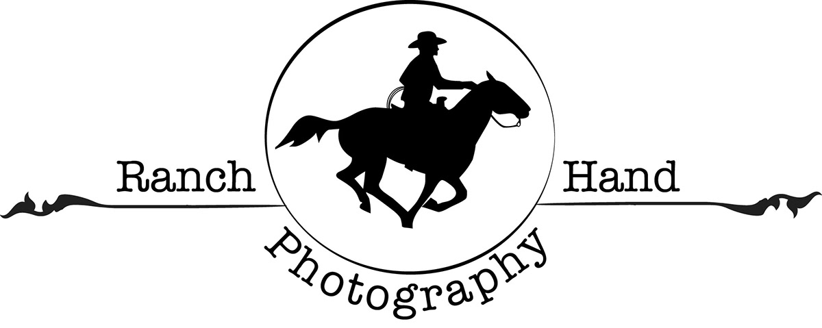 western Cattle agriculture horse logo cowboy college collegiat act